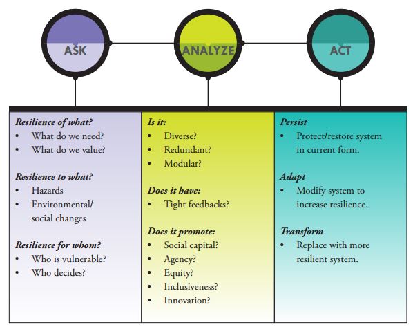 Resilience Framework Diagram - Ask, Analyze, Act