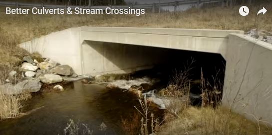 You Tube video - Better Culverts and Stream Crossings