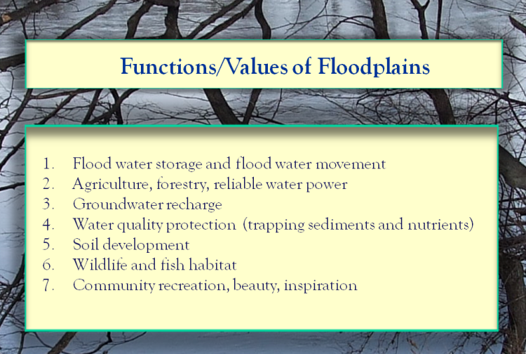 functions/values of floodplains list