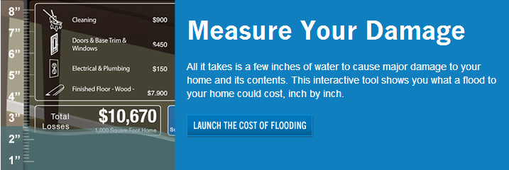Link to FEMA tool to measure your damage based on height of flood