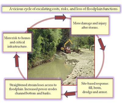 chart describing vicious cycle of escalating costs, risks and loss of floodplain functions